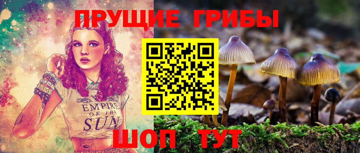 Псилоцибиновые грибы Cubensis Омск