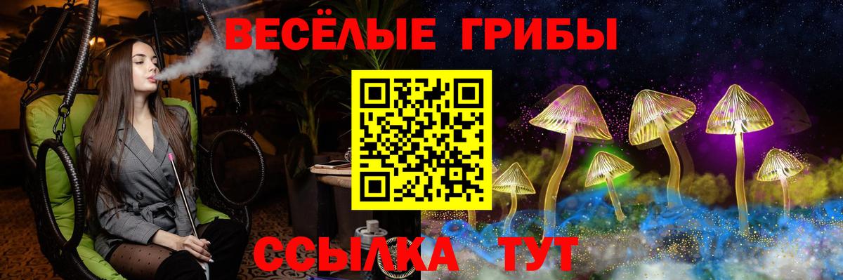 Омск  Галлюциногенные грибы мицелий  Вход с VPN 